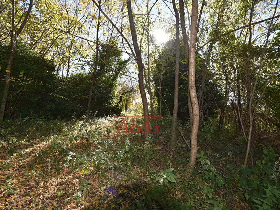 Immagine 32 di Casa indipendente in vendita  in Via Villa Salvi a Amandola