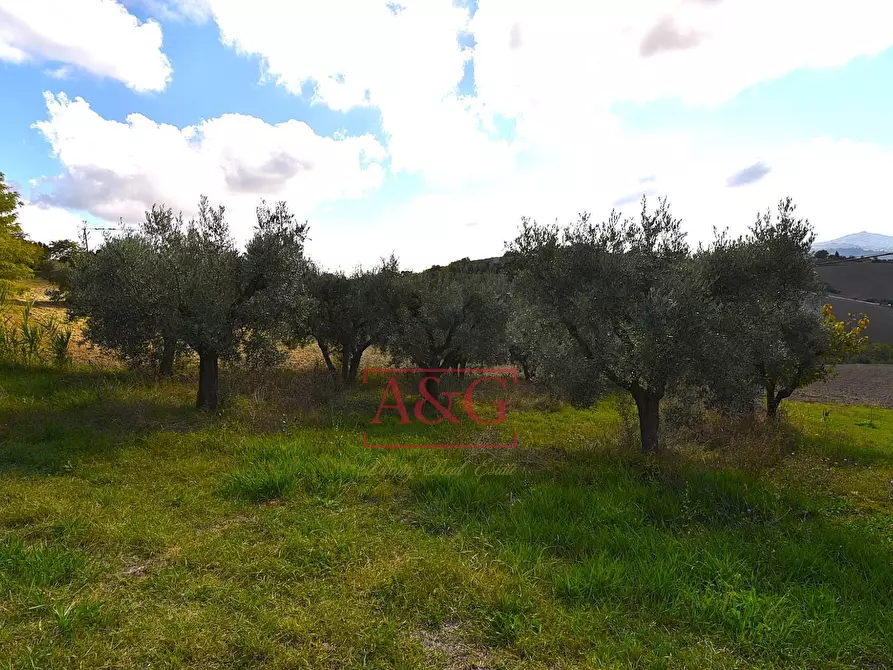 Immagine 45 di Casa indipendente in vendita  in Via Vincenzo Bellini a Falerone