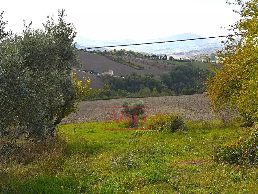 Immagine 42 di Casa indipendente in vendita  in Via Vincenzo Bellini a Falerone