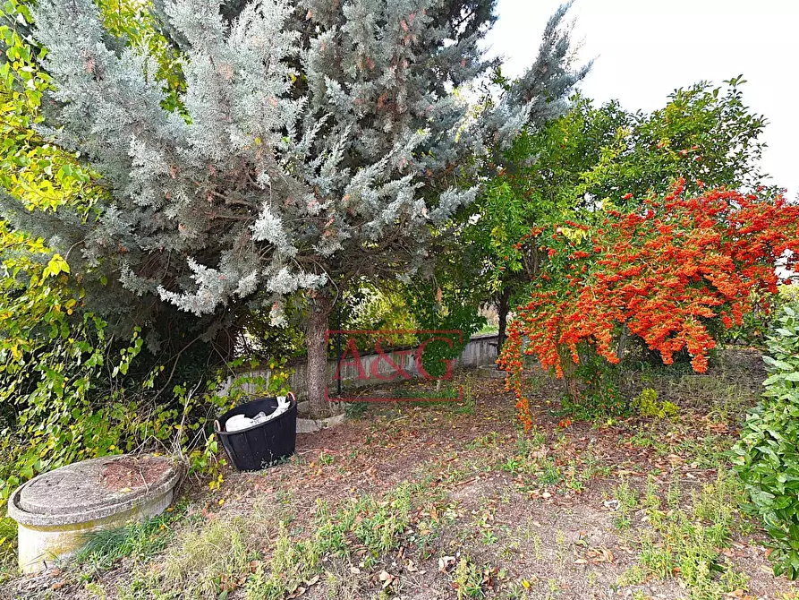 Immagine 39 di Casa indipendente in vendita  in Via Vincenzo Bellini a Falerone
