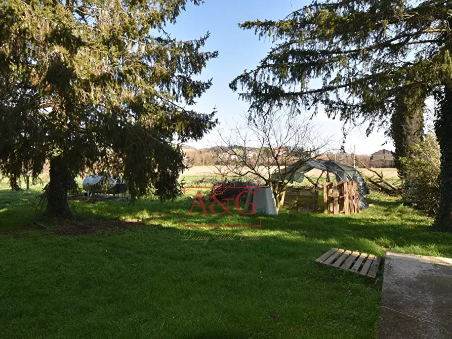 Immagine 49 di Rustico / casale in vendita  in Contrada Piane di Monteverde 49 a Montegiorgio