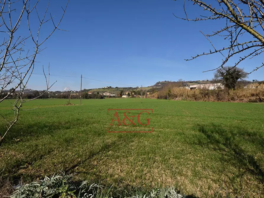 Immagine 47 di Rustico / casale in vendita  in Contrada Piane di Monteverde 49 a Montegiorgio