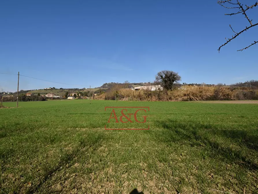 Immagine 44 di Rustico / casale in vendita  in Contrada Piane di Monteverde 49 a Montegiorgio