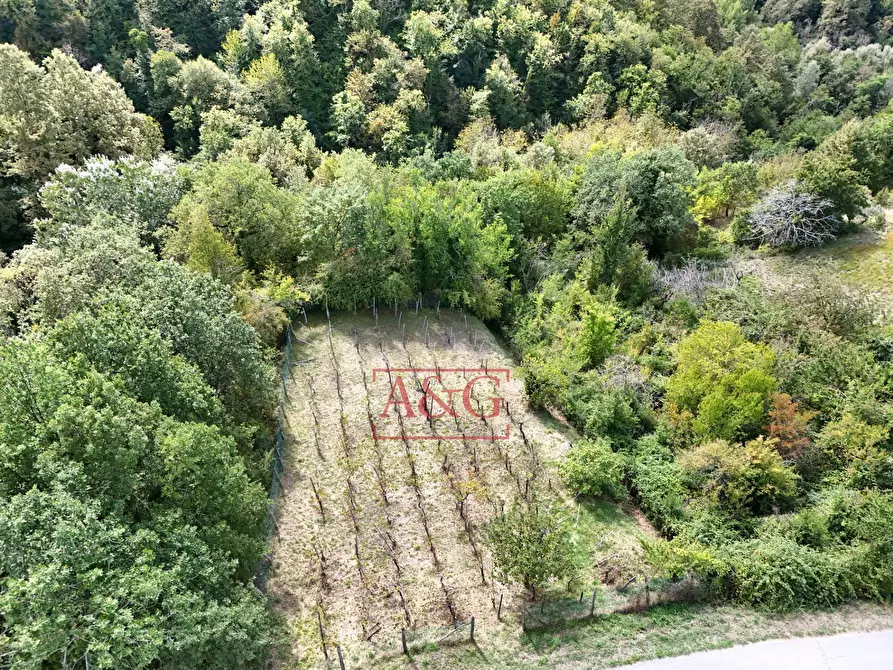 Immagine 29 di Rustico / casale in vendita  in villa casa paradisi superiore snc a Amandola
