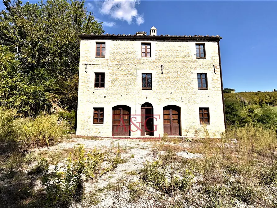 Immagine 2 di Rustico / casale in vendita  in CONTRADA FAVETO a Montefalcone Appennino