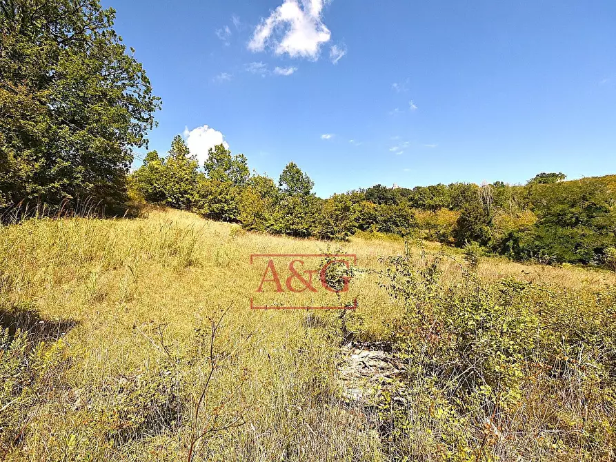 Immagine 3 di Rustico / casale in vendita  in CONTRADA FAVETO a Montefalcone Appennino