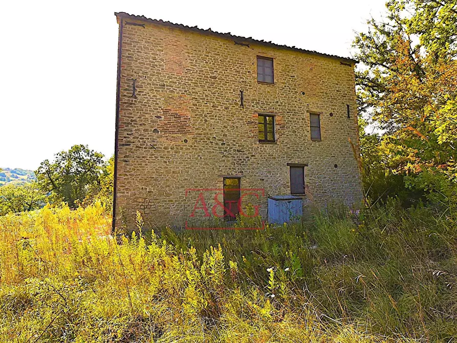 Immagine 4 di Rustico / casale in vendita  in CONTRADA FAVETO a Montefalcone Appennino