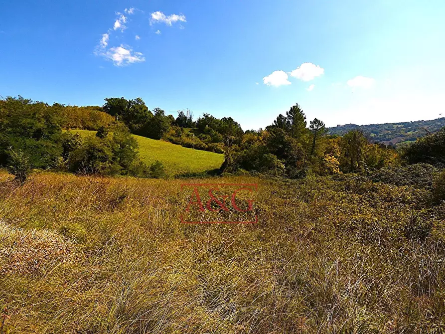 Immagine 5 di Rustico / casale in vendita  in CONTRADA FAVETO a Montefalcone Appennino