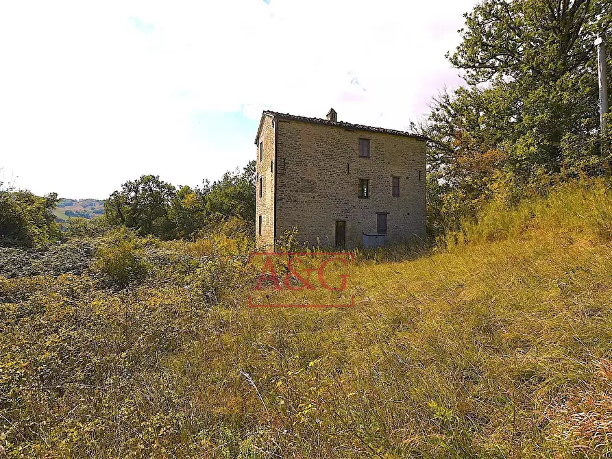 Immagine 6 di Rustico / casale in vendita  in CONTRADA FAVETO a Montefalcone Appennino