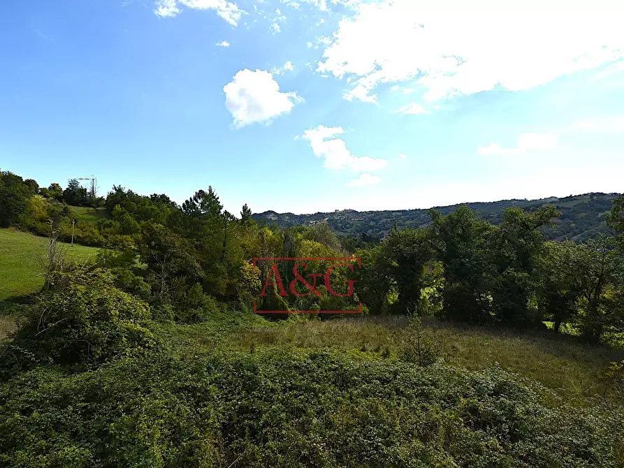 Immagine 29 di Rustico / casale in vendita  in CONTRADA FAVETO a Montefalcone Appennino