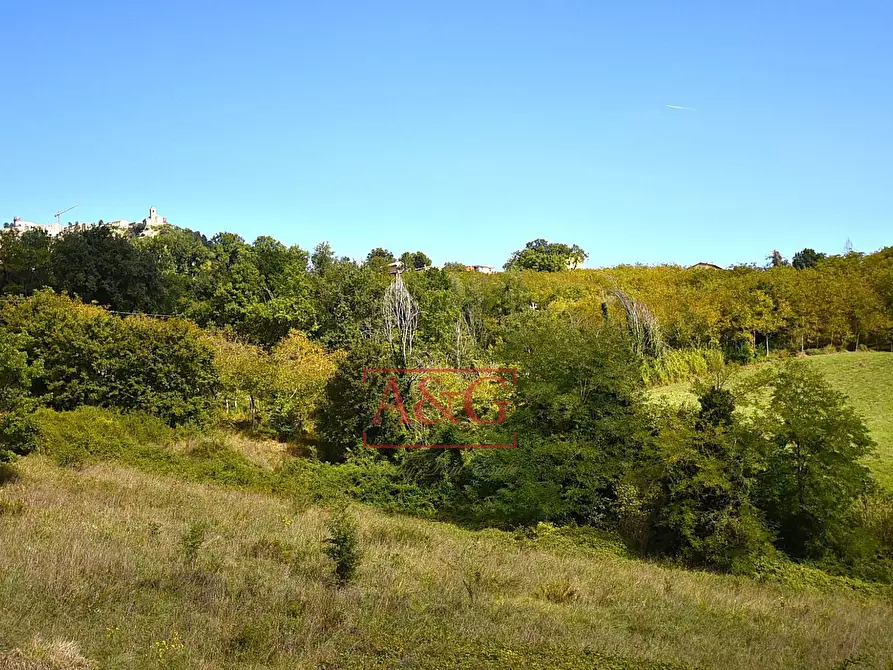 Immagine 32 di Rustico / casale in vendita  in CONTRADA FAVETO a Montefalcone Appennino