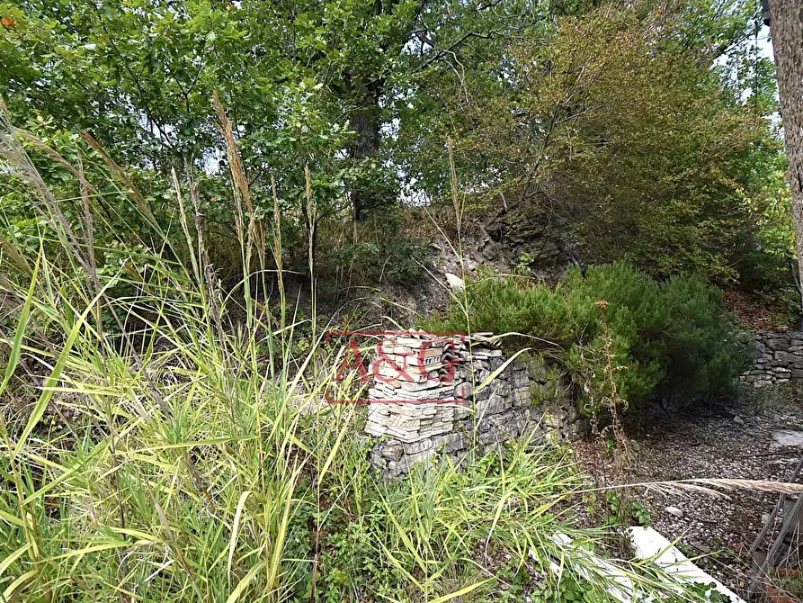 Immagine 33 di Rustico / casale in vendita  in CONTRADA FAVETO a Montefalcone Appennino