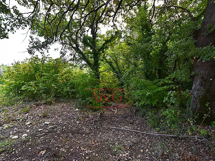 Immagine 34 di Rustico / casale in vendita  in CONTRADA FAVETO a Montefalcone Appennino