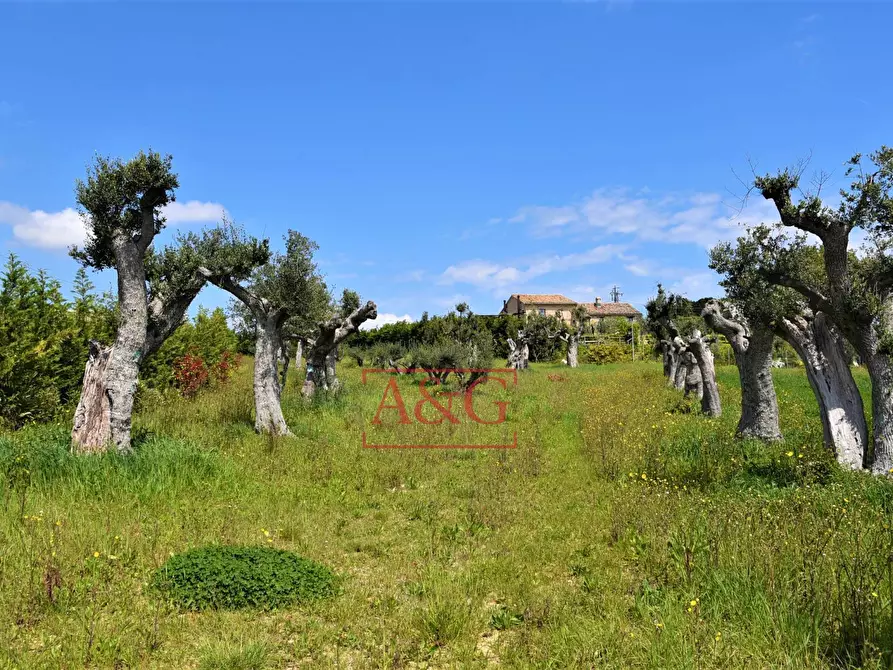 Immagine 40 di Rustico / casale in vendita  in Frazione Montefiore a Recanati