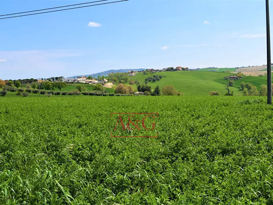 Immagine 42 di Rustico / casale in vendita  in Frazione Montefiore a Recanati