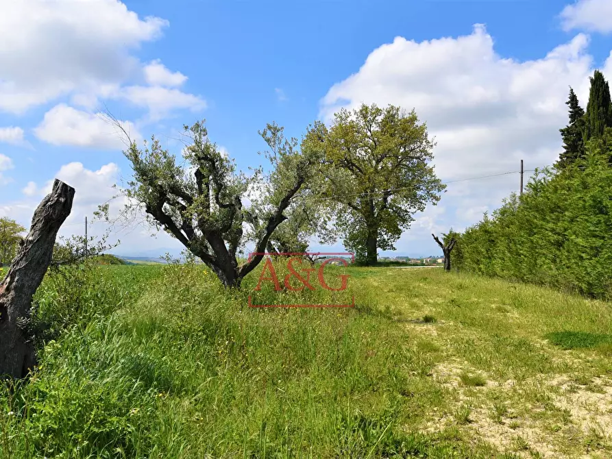 Immagine 43 di Rustico / casale in vendita  in Frazione Montefiore a Recanati