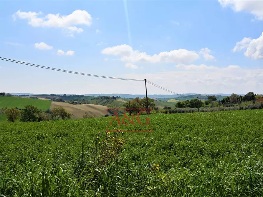 Immagine 44 di Rustico / casale in vendita  in Frazione Montefiore a Recanati