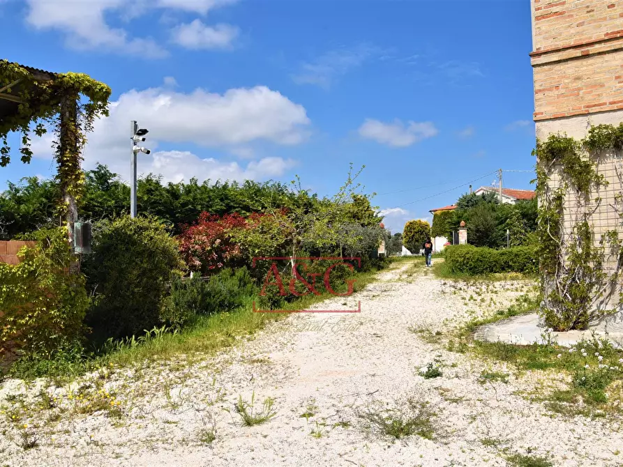 Immagine 46 di Rustico / casale in vendita  in Frazione Montefiore a Recanati