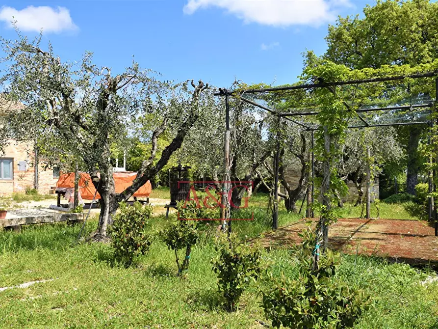 Immagine 49 di Rustico / casale in vendita  in Frazione Montefiore a Recanati