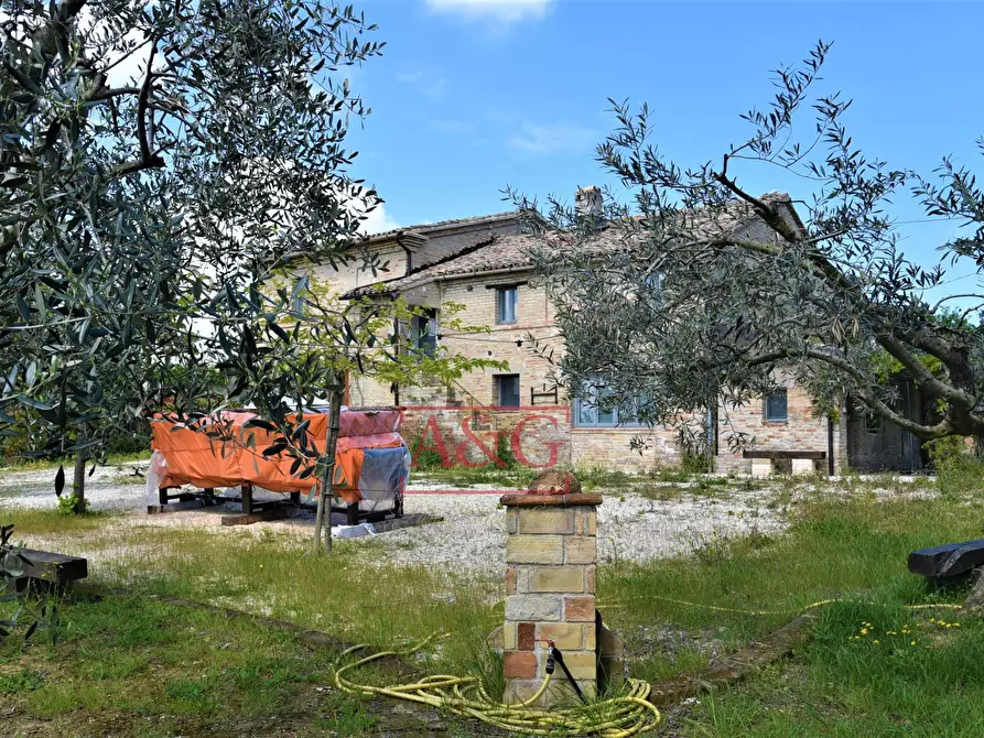 Immagine 52 di Rustico / casale in vendita  in Frazione Montefiore a Recanati
