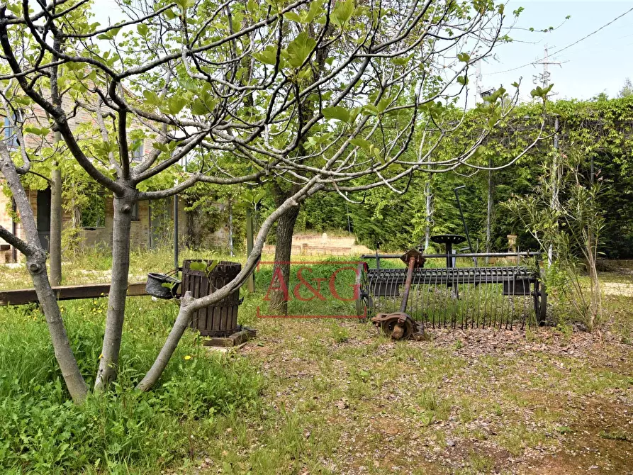 Immagine 55 di Rustico / casale in vendita  in Frazione Montefiore a Recanati