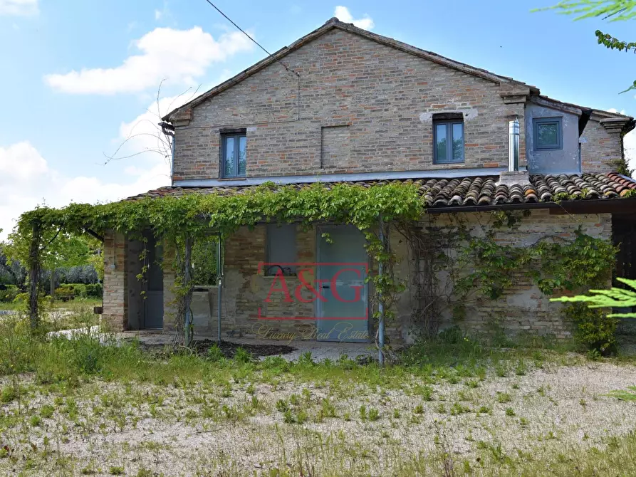 Immagine 56 di Rustico / casale in vendita  in Frazione Montefiore a Recanati