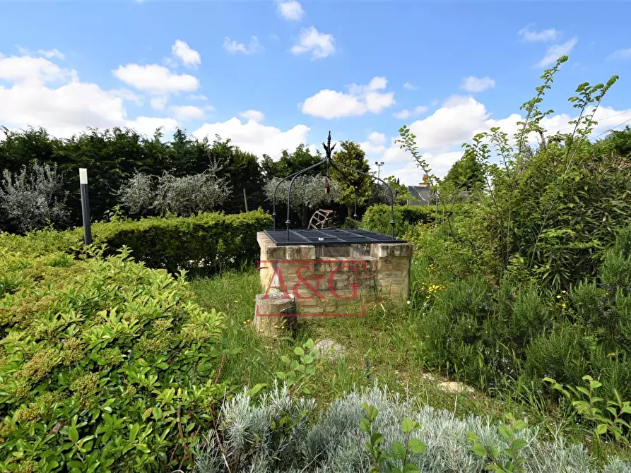 Immagine 61 di Rustico / casale in vendita  in Frazione Montefiore a Recanati