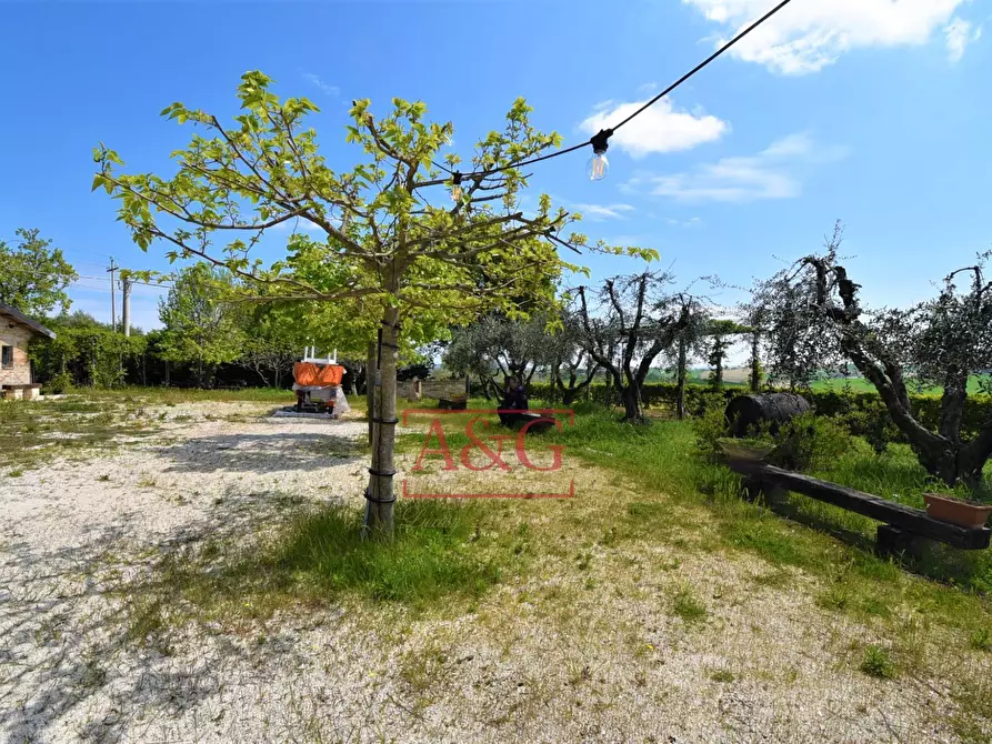 Immagine 63 di Rustico / casale in vendita  in Frazione Montefiore a Recanati