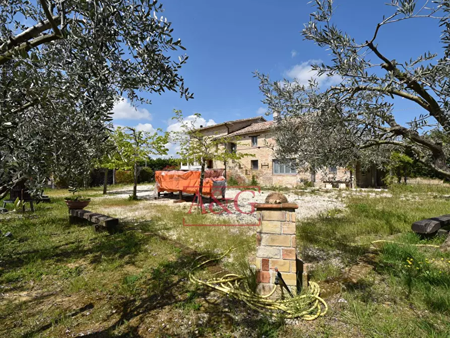 Immagine 64 di Rustico / casale in vendita  in Frazione Montefiore a Recanati