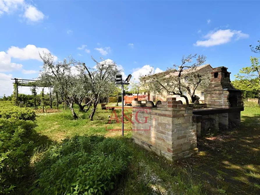 Immagine 65 di Rustico / casale in vendita  in Frazione Montefiore a Recanati