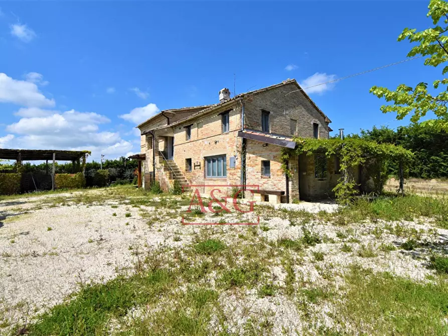 Immagine 38 di Rustico / casale in vendita  in Frazione Montefiore a Recanati