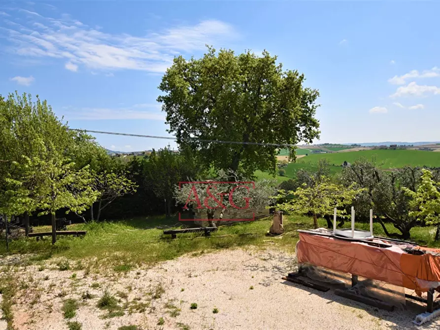 Immagine 69 di Rustico / casale in vendita  in Frazione Montefiore a Recanati