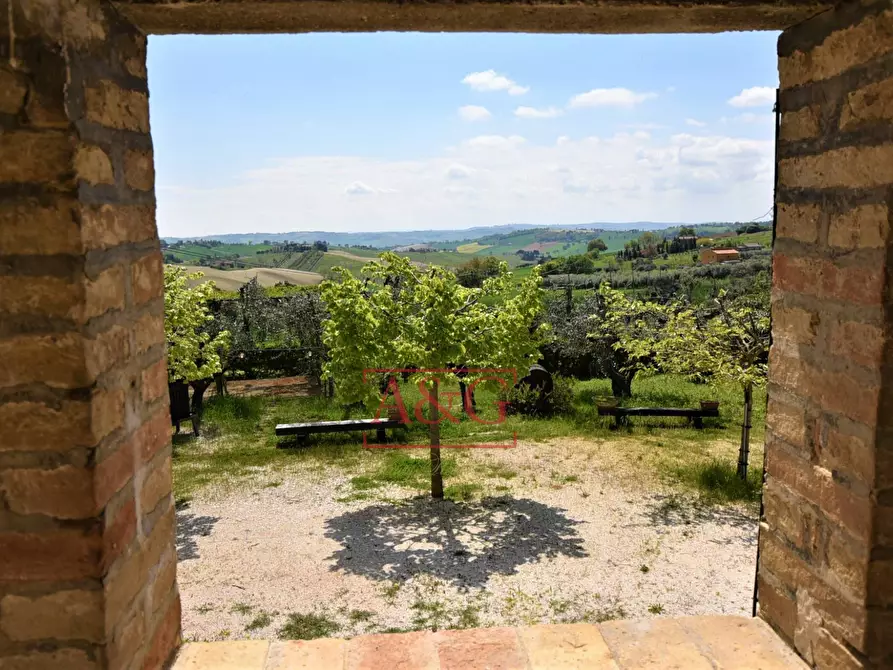Immagine 20 di Rustico / casale in vendita  in Frazione Montefiore a Recanati