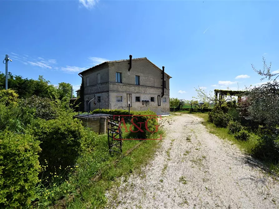 Immagine 71 di Rustico / casale in vendita  in Frazione Montefiore a Recanati