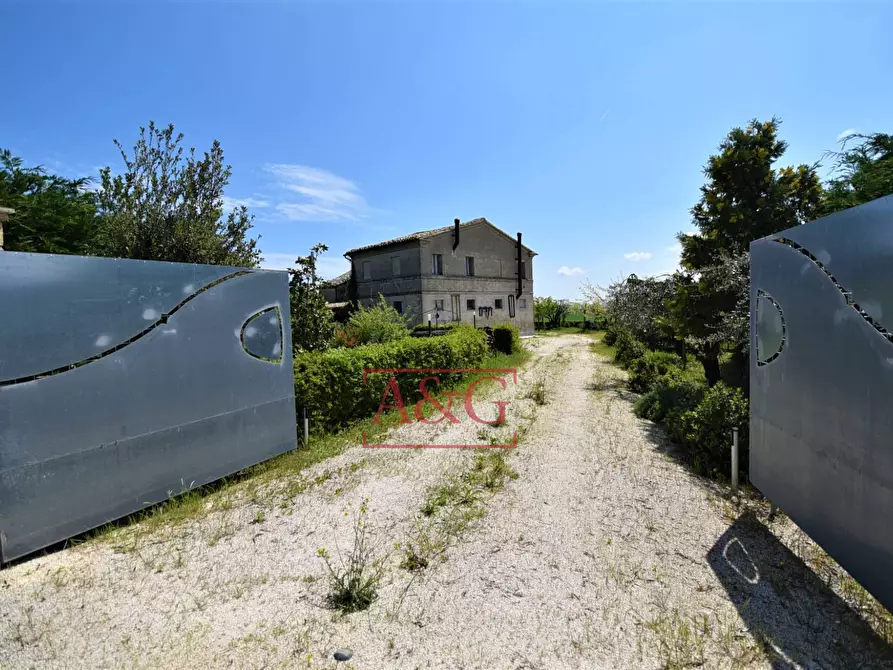 Immagine 3 di Rustico / casale in vendita  in Frazione Montefiore a Recanati
