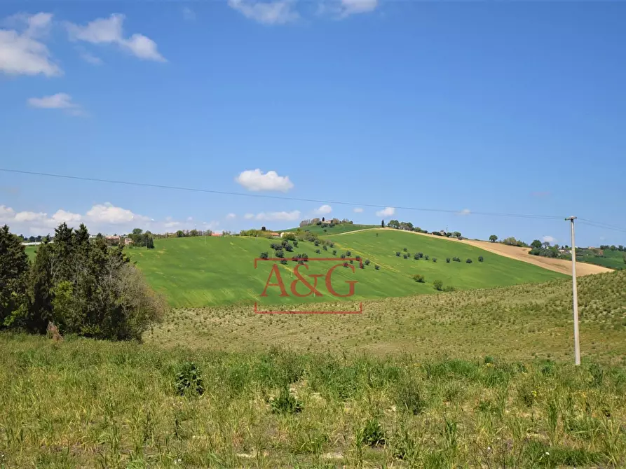 Immagine 74 di Rustico / casale in vendita  in Frazione Montefiore a Recanati