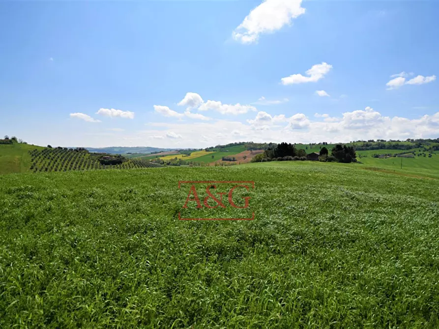 Immagine 75 di Rustico / casale in vendita  in Frazione Montefiore a Recanati