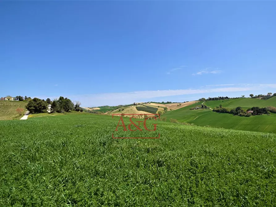 Immagine 76 di Rustico / casale in vendita  in Frazione Montefiore a Recanati