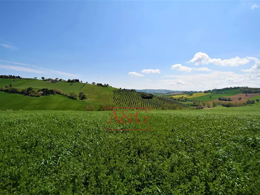 Immagine 78 di Rustico / casale in vendita  in Frazione Montefiore a Recanati
