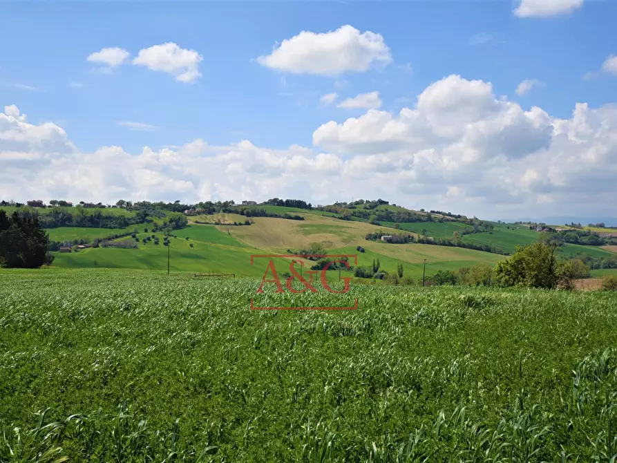 Immagine 79 di Rustico / casale in vendita  in Frazione Montefiore a Recanati