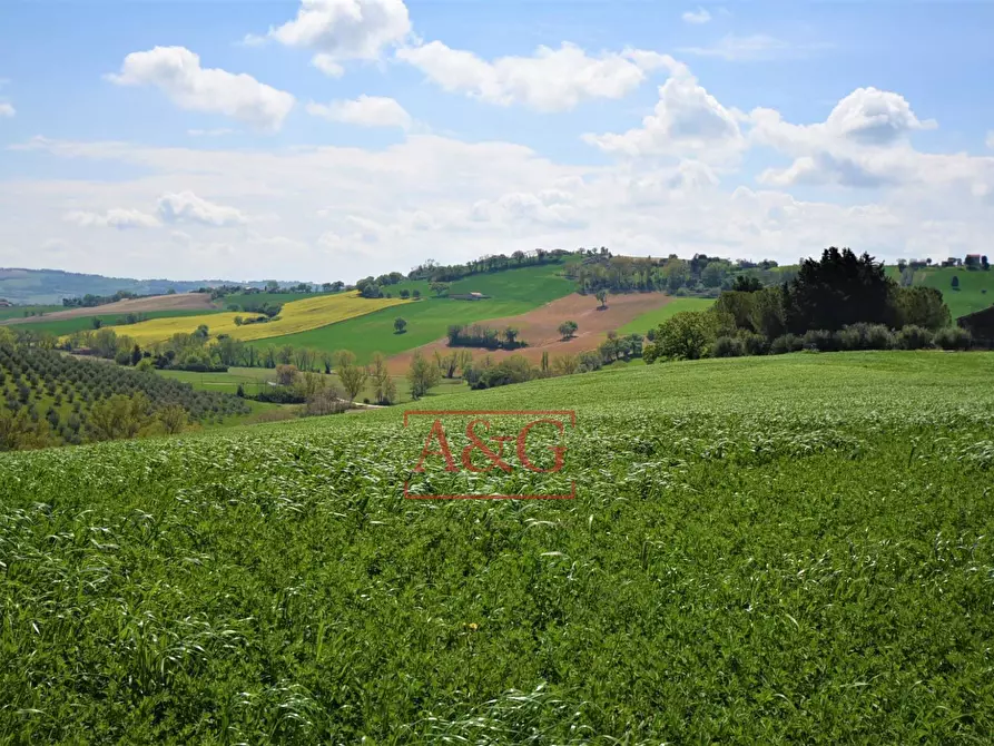 Immagine 80 di Rustico / casale in vendita  in Frazione Montefiore a Recanati