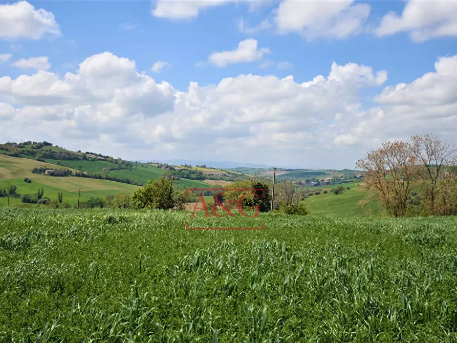Immagine 81 di Rustico / casale in vendita  in Frazione Montefiore a Recanati