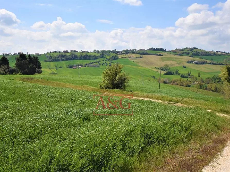 Immagine 82 di Rustico / casale in vendita  in Frazione Montefiore a Recanati