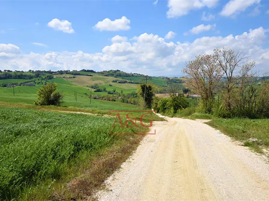 Immagine 83 di Rustico / casale in vendita  in Frazione Montefiore a Recanati