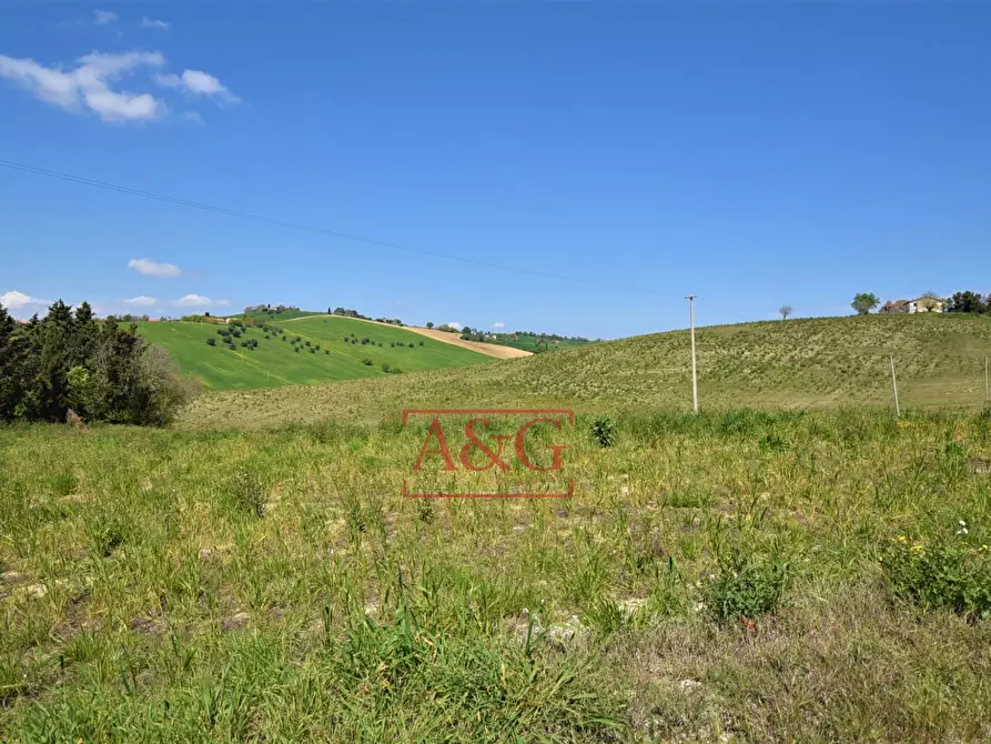 Immagine 84 di Rustico / casale in vendita  in Frazione Montefiore a Recanati