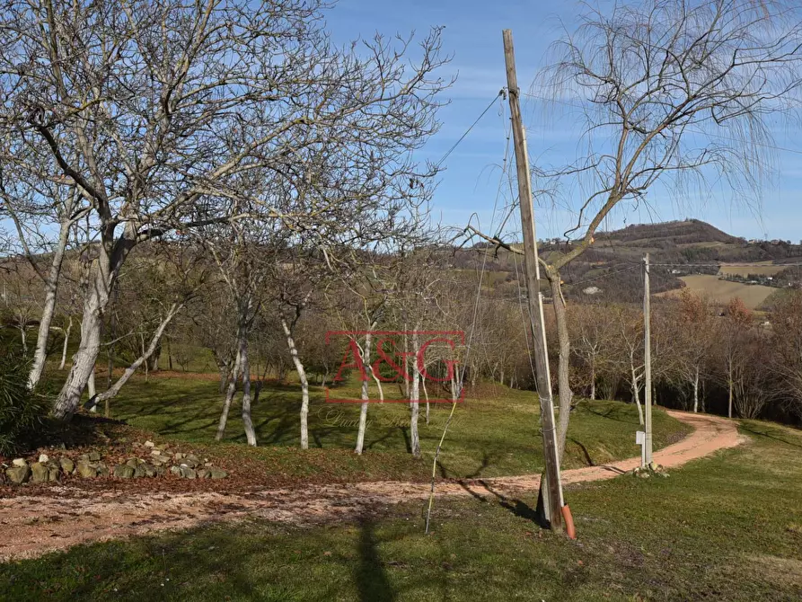 Immagine 61 di Rustico / casale in vendita  in VILLA CACCIANEBBIA a Amandola