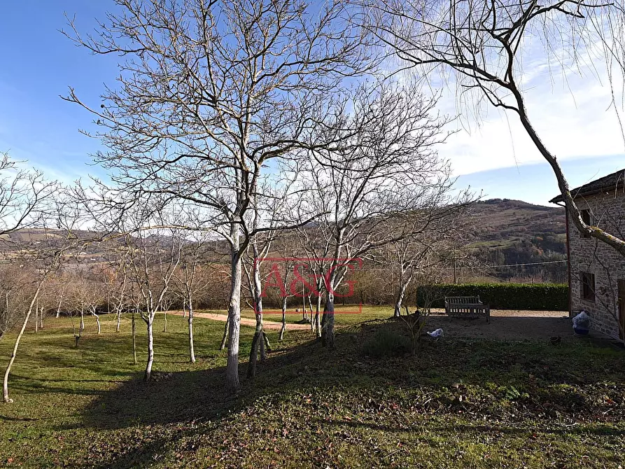 Immagine 60 di Rustico / casale in vendita  in VILLA CACCIANEBBIA a Amandola