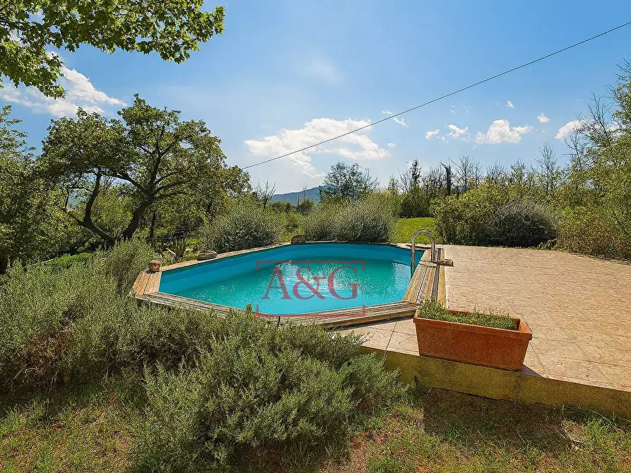 Immagine 3 di Rustico / casale in vendita  in Contrada Biordi 3 a Penna San Giovanni