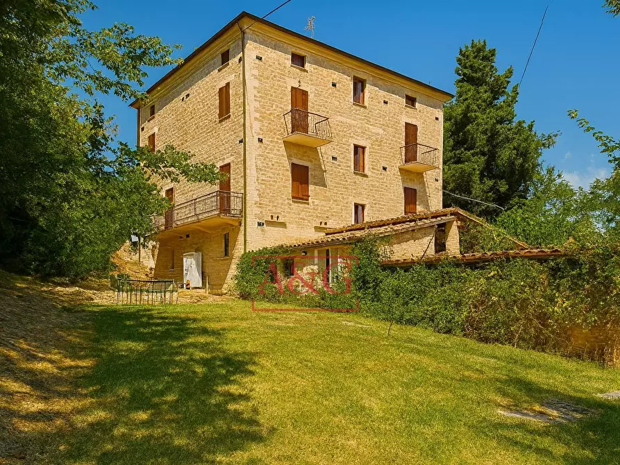 Immagine 2 di Rustico / casale in vendita  in Contrada Biordi 3 a Penna San Giovanni