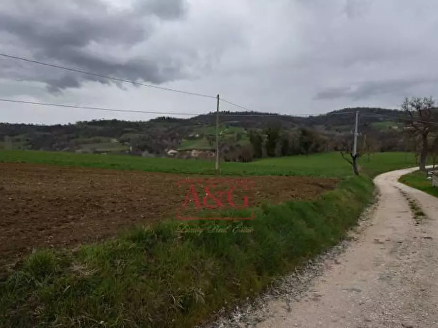 Immagine 6 di Terreno agricolo in vendita  in Contrada Schito a Sarnano
